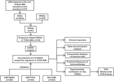 Identification of a venetoclax-resistance prognostic signature base on 6-senescence genes and its clinical significance for acute myeloid leukemia